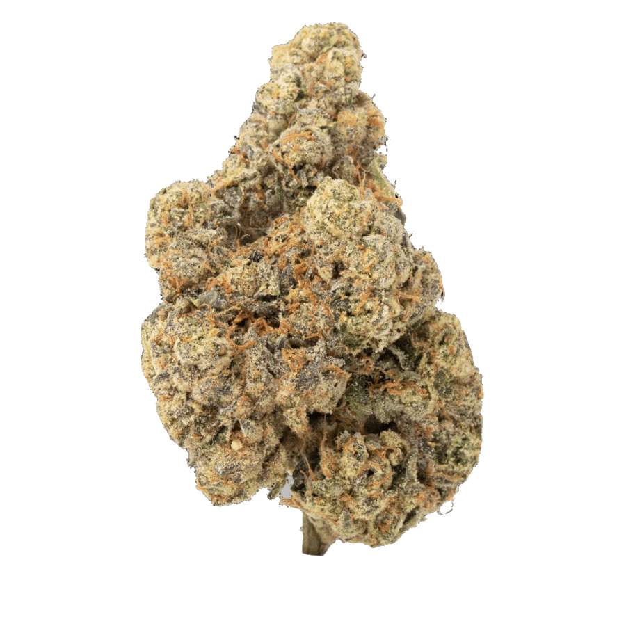 Image of Sunset Runtz THCA HEMP FLOWER